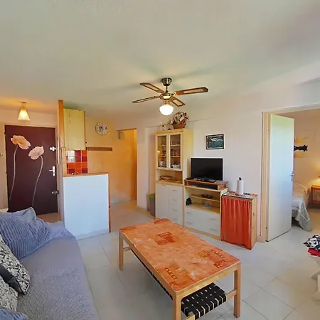 Apartamento 2 Pieces Avec Loggia Vue Mer, Animaux Admis - - Fr-1-826-10